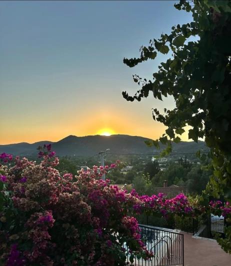 Image No.19-2 Bed Bungalow for sale