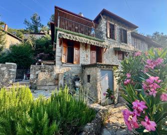 1 - Uzumlu, Villa