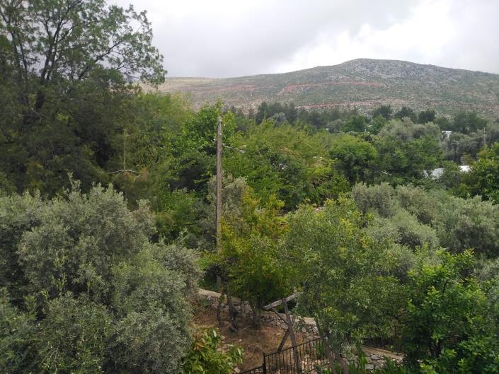 Image No.16-9 Bed Villa for sale