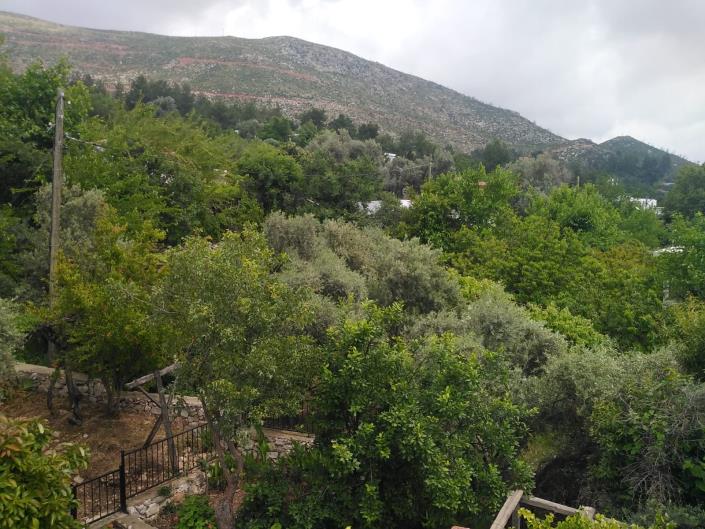 Image No.21-9 Bed Villa for sale