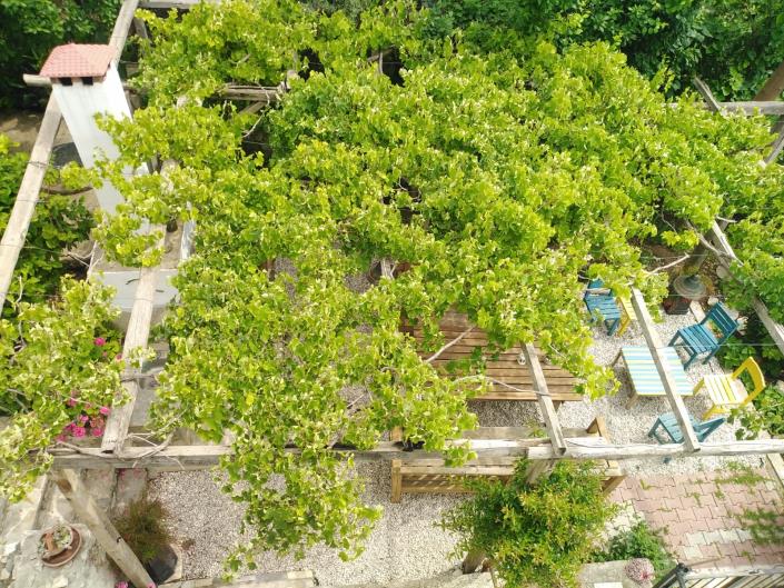 Image No.25-9 Bed Villa for sale