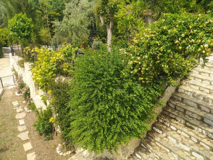 Image No.26-9 Bed Villa for sale