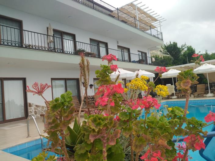 Image No.52-9 Bed Villa for sale