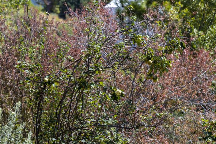 Image No.28-Villa de 4 chambres à vendre à Kas