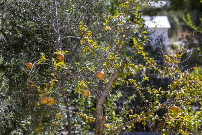 Image No.29-Villa de 4 chambres à vendre à Kas