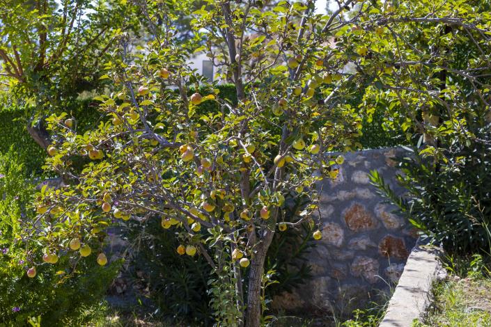 Image No.30-Villa de 4 chambres à vendre à Kas