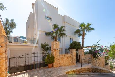 villa_cina_need_company-2