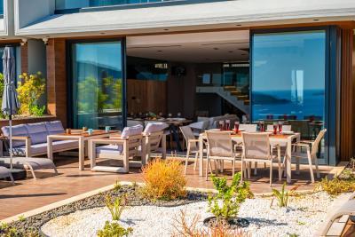 WhatsApp-Image-2026-02-10-at-10-44-50--3-