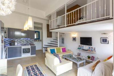 yelken_Apt_need_company-1
