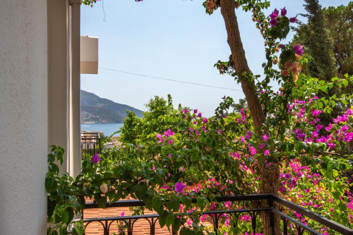 Image No.32-3 Bed Villa for sale