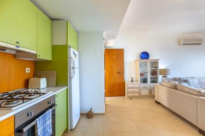 yelken_apt_no_11_need_company-8