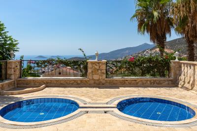 palmiye_apt_no_7_need_company-5
