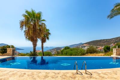 palmiye_apt_no_7_need_company-7