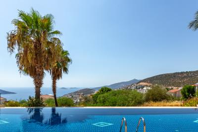 palmiye_apt_no_7_need_company-8