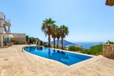 palmiye_apt_no_7_need_company-9