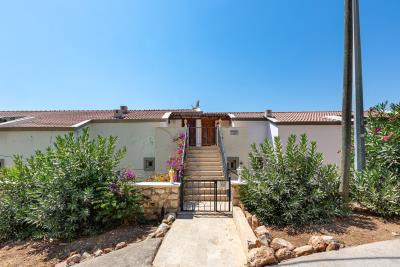 palmiye_apt_no_7_need_company-12