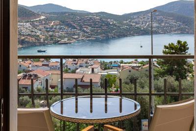 melissa_apt_need_company-kalkan-39