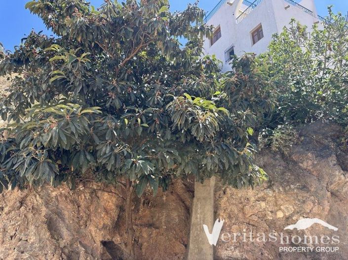 Image No.5-Land for sale