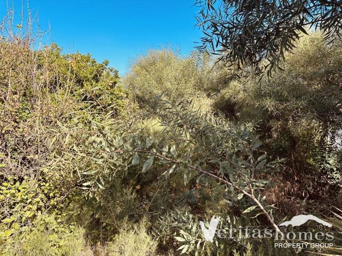 Image No.7-Villa de 3 chambres à vendre à Mojacar