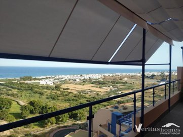 xml324618