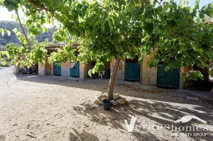 Image No.5-3 Bed Villa for sale