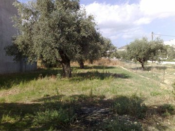 elxis-at-home-in-greece-archangelos-garden-ho