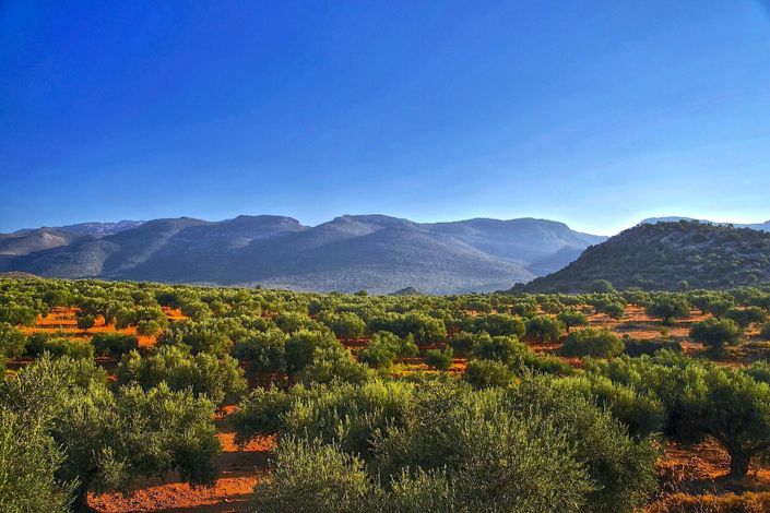 Image No.13-6 Bed Village House for sale