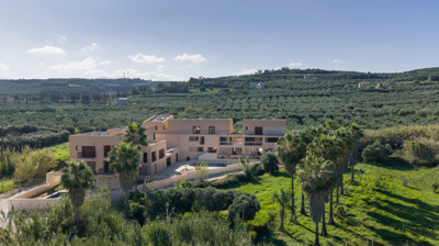 elxis-at-home-in-greeceolea-land7