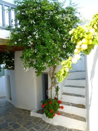 elxis-at-home-in-greecesikinos-traditional-tw