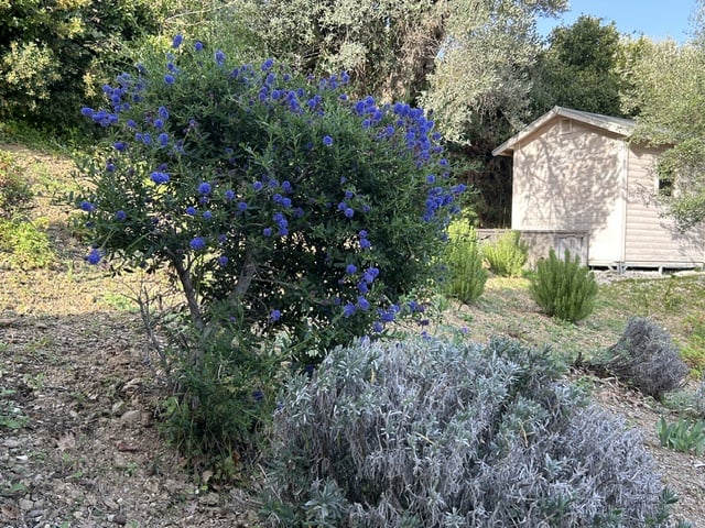 Image No.20-2 Bed Villa for sale