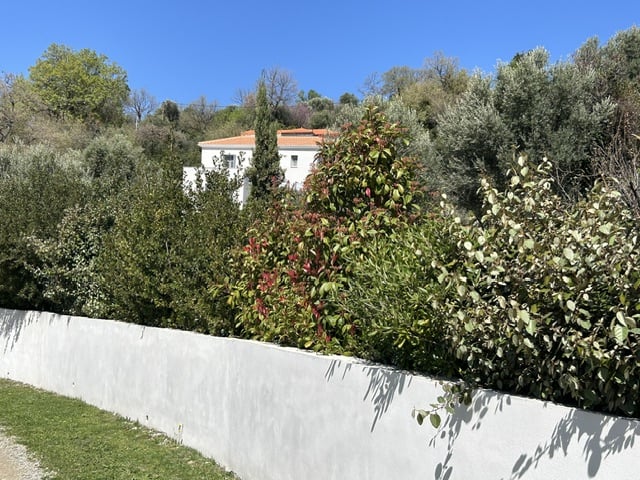 Image No.21-2 Bed Villa for sale