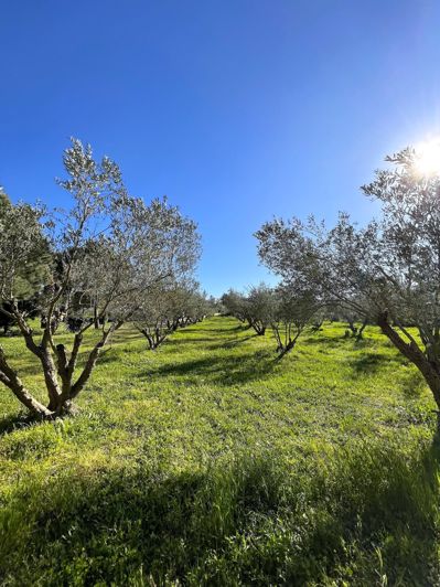 Image No.4-Maison de village de 3 chambres à vendre à Grèce