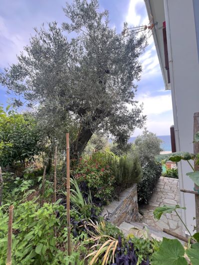 Image No.8-5 Bed Village House for sale