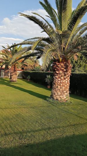 Image No.15-3 Bed Duplex for sale