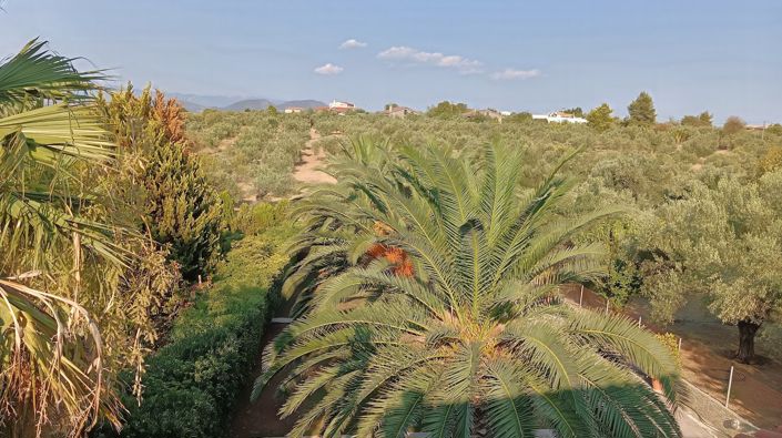 Image No.5-3 Bed Duplex for sale