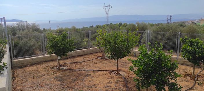 Image No.16-3 Bed Villa for sale