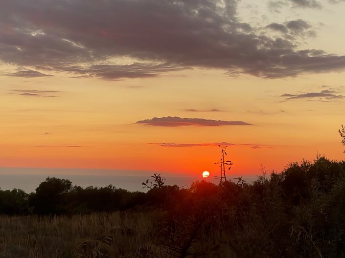 Image No.24-4 Bed Villa for sale