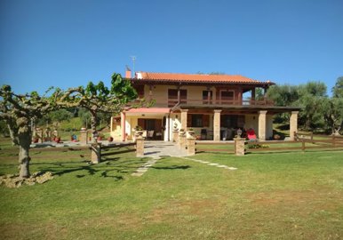 elxis-at-home-in-greeceseasidegardenescape10