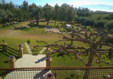 elxis-at-home-in-greeceseasidegardenescape8