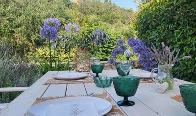 elxis-at-home-in-greecevilla-in-afionas-corfu