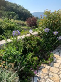 elxis-at-home-in-greecevilla-in-afionas-corfu