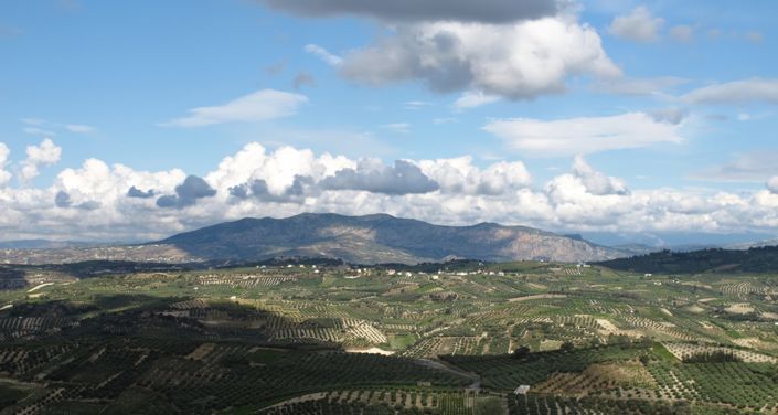 Image No.14-2 Bed Villa for sale