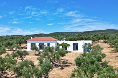 elxis-at-home-in-greeceolive-grove-retreatfea