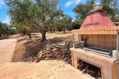 elxis-at-home-in-greeceolive-grove-retreat28
