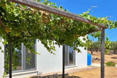 elxis-at-home-in-greeceolive-grove-retreat22