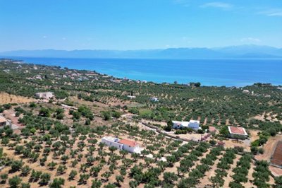 elxis-at-home-in-greeceolive-grove-retreat40