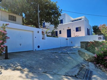 elxis-at-home-in-greecelush-villa-andros6-top