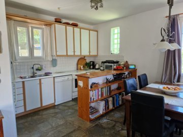 elxis-at-home-in-greecelush-villa-andros22
