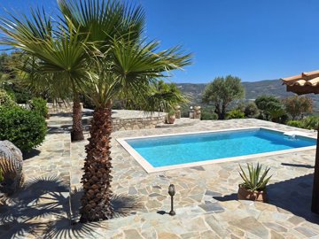 elxis-at-home-in-greecevilla-forest-view1