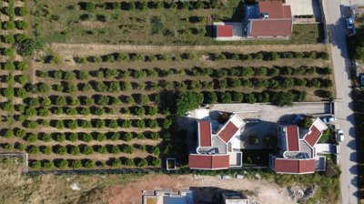 elxis-at-home-in-greeceorangeblossomvillas1-1